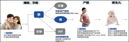 华大基因:“技术+数据”双轮驱动，锚定C端健康管理新蓝海